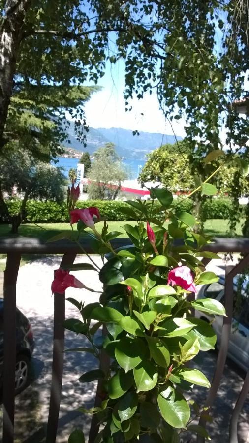 Villa Leilani B&B Сале-Маразино Экстерьер фото